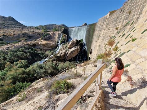 pantano de elche ruta|12 rutas de senderismo en Elche (Alicante)